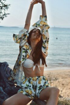 h-era lemon set
