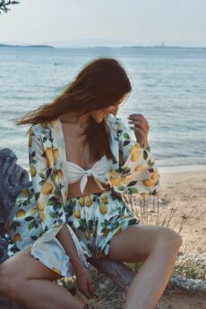 h-era lemon set
